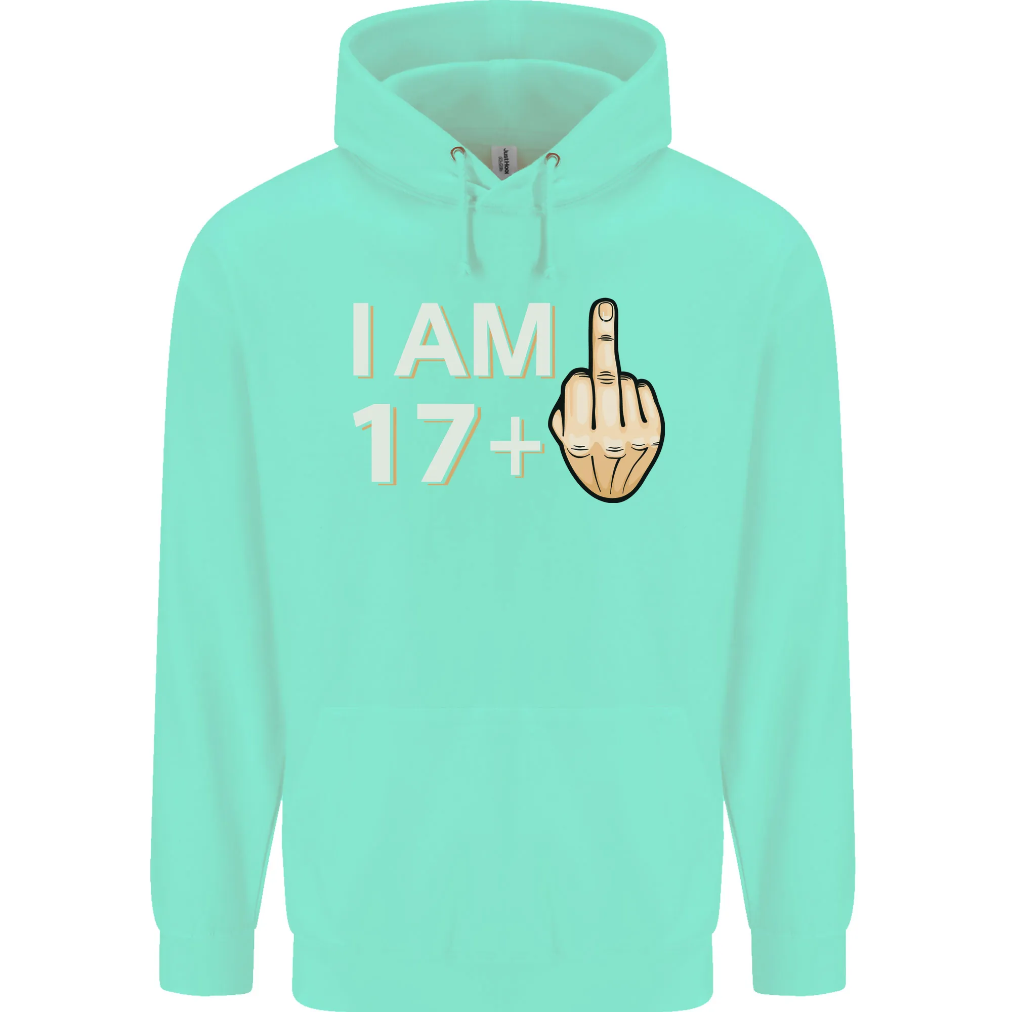 18th Birthday Funny Offensive 18 Year Old Mens 80% Cotton Hoodie