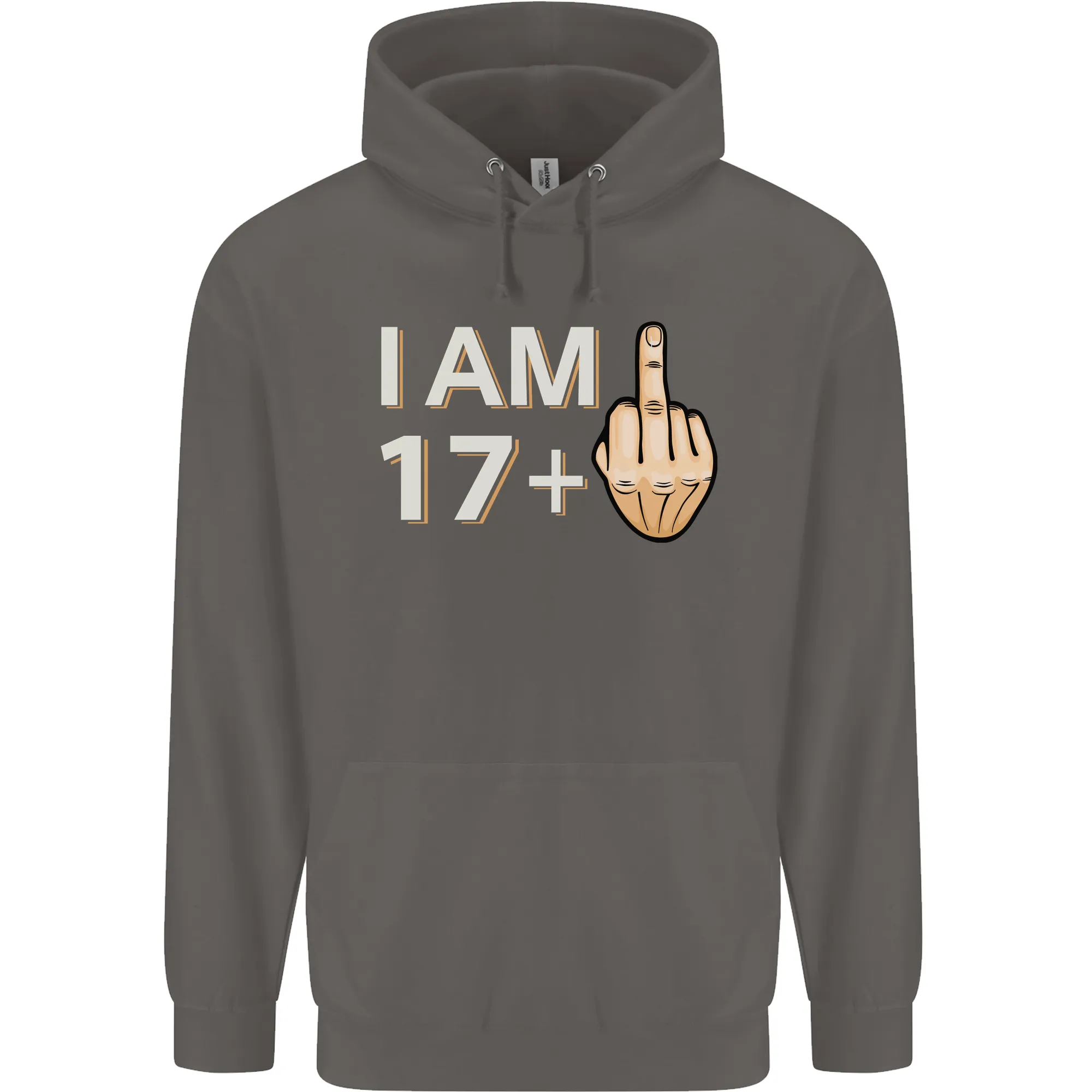 18th Birthday Funny Offensive 18 Year Old Mens 80% Cotton Hoodie