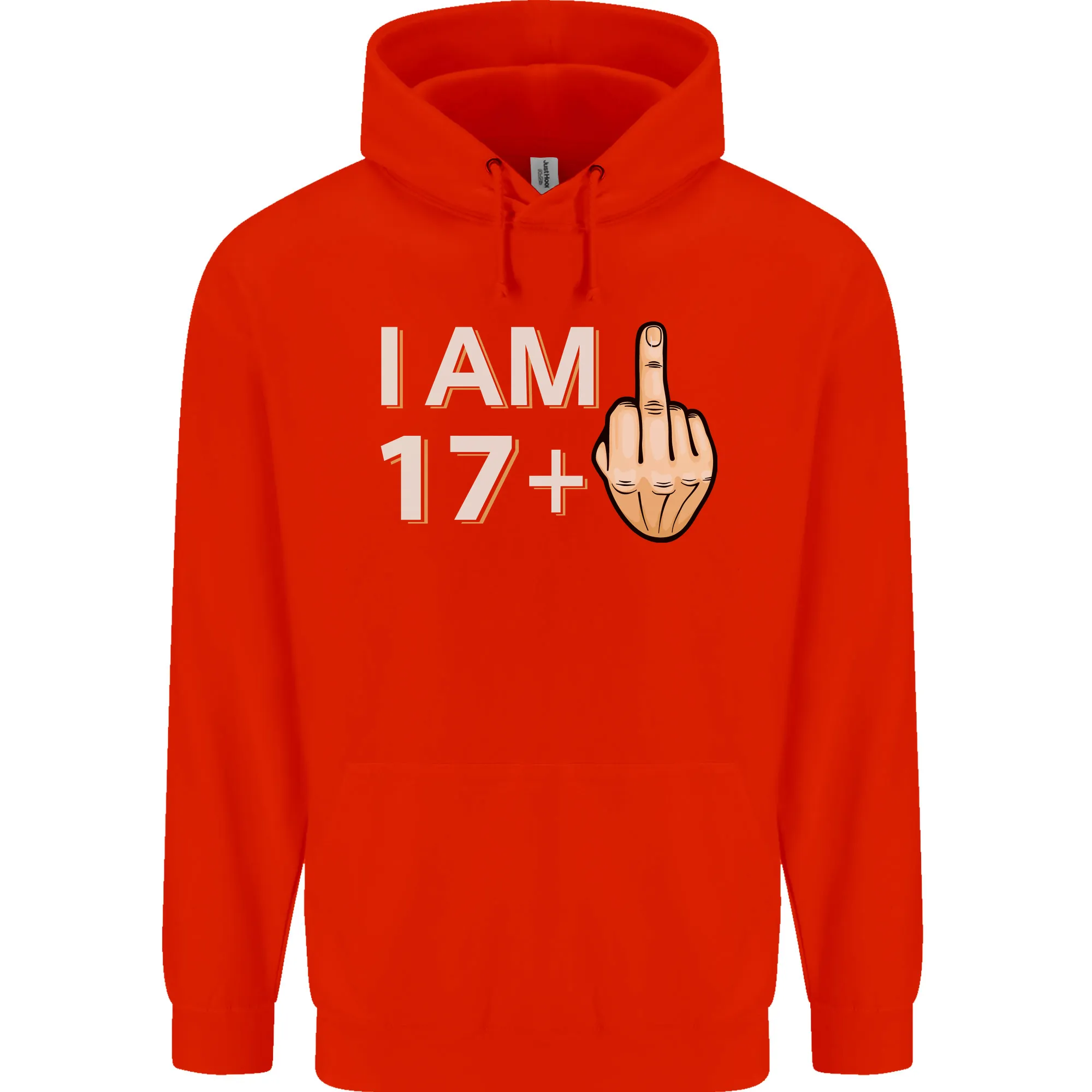 18th Birthday Funny Offensive 18 Year Old Mens 80% Cotton Hoodie