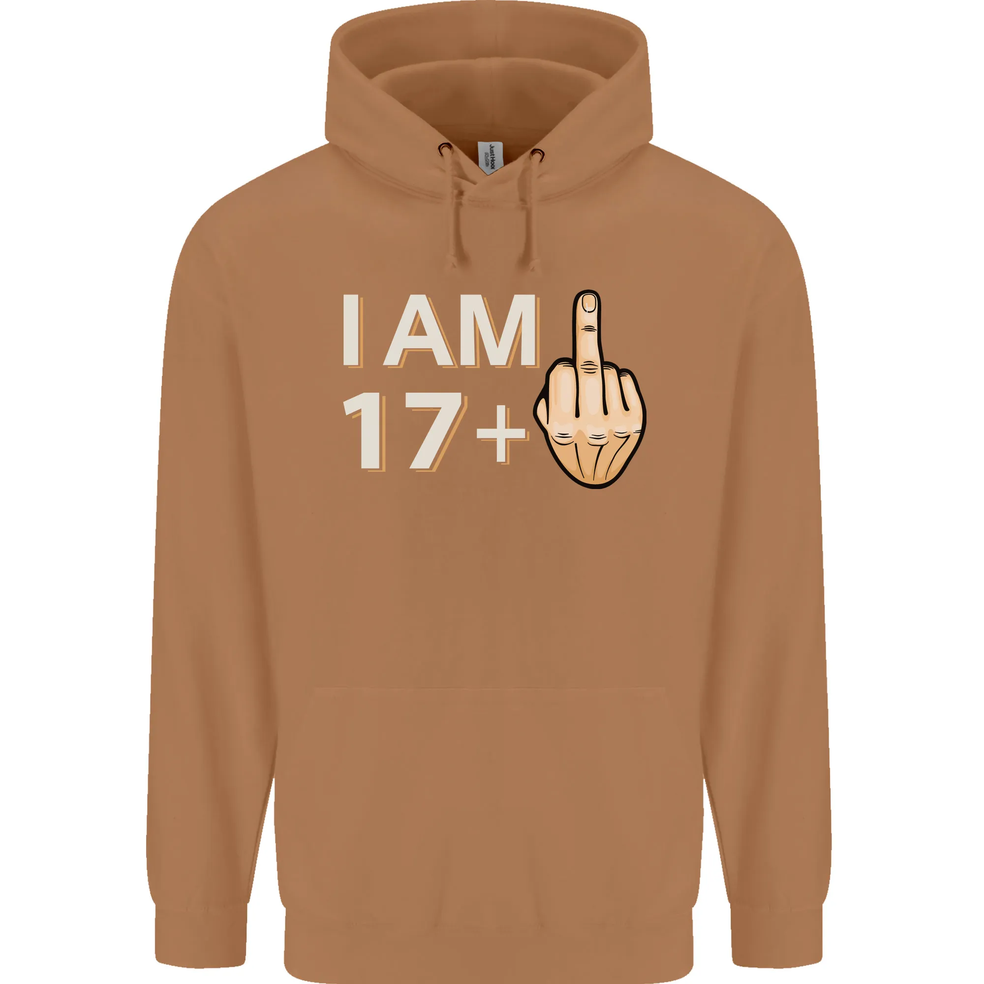 18th Birthday Funny Offensive 18 Year Old Mens 80% Cotton Hoodie