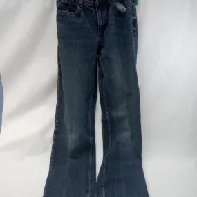 Denim Jeans by Lands End     Size 14