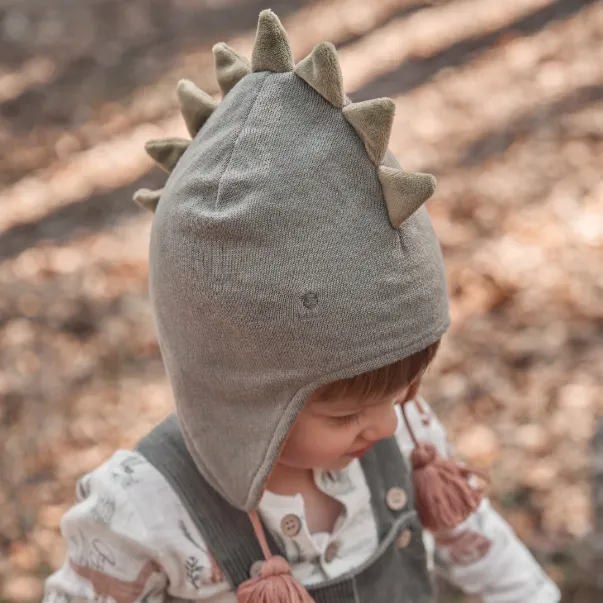 Dinosaur Aviator Knit Baby Hat