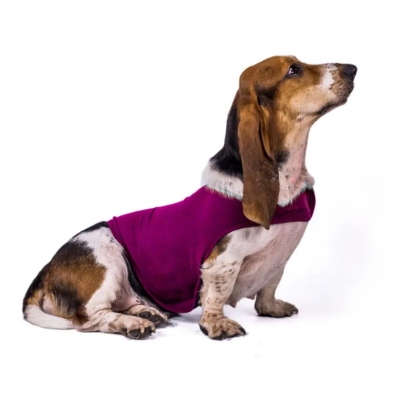 Dog Clothes, Dog Anxiety, Comfort Clothing, Warm Jacket, Vest