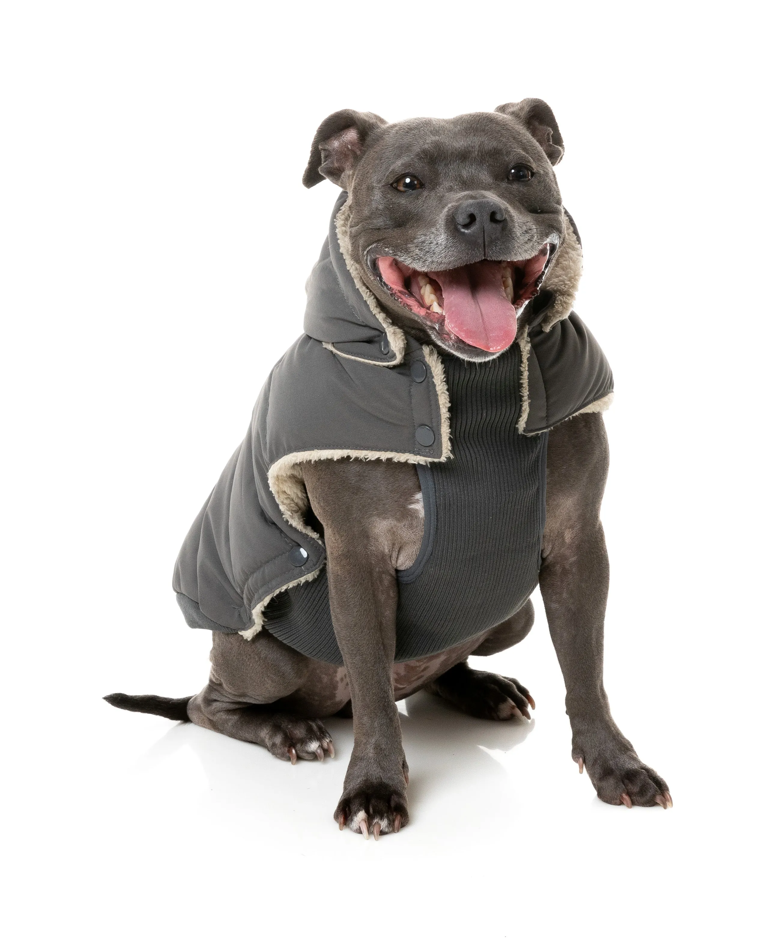 FuzzYard Essential Puffer Dog Jacket Charcoal