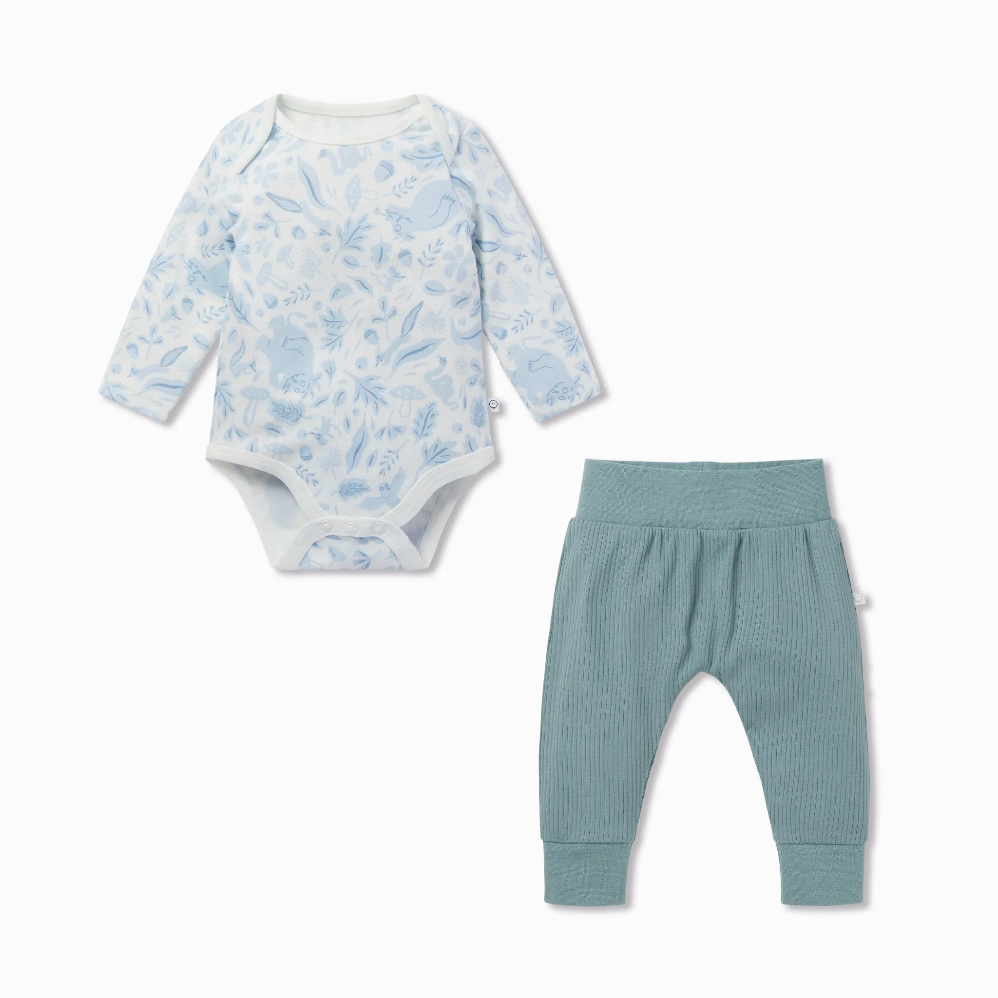 Gruffalo Dragonfly Blue Bodysuit & Ribbed Joggers Outfit