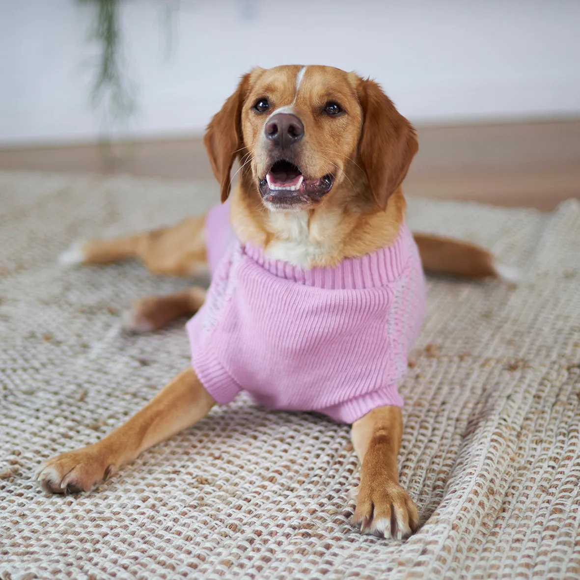 Lilac Posy Dog Jumper