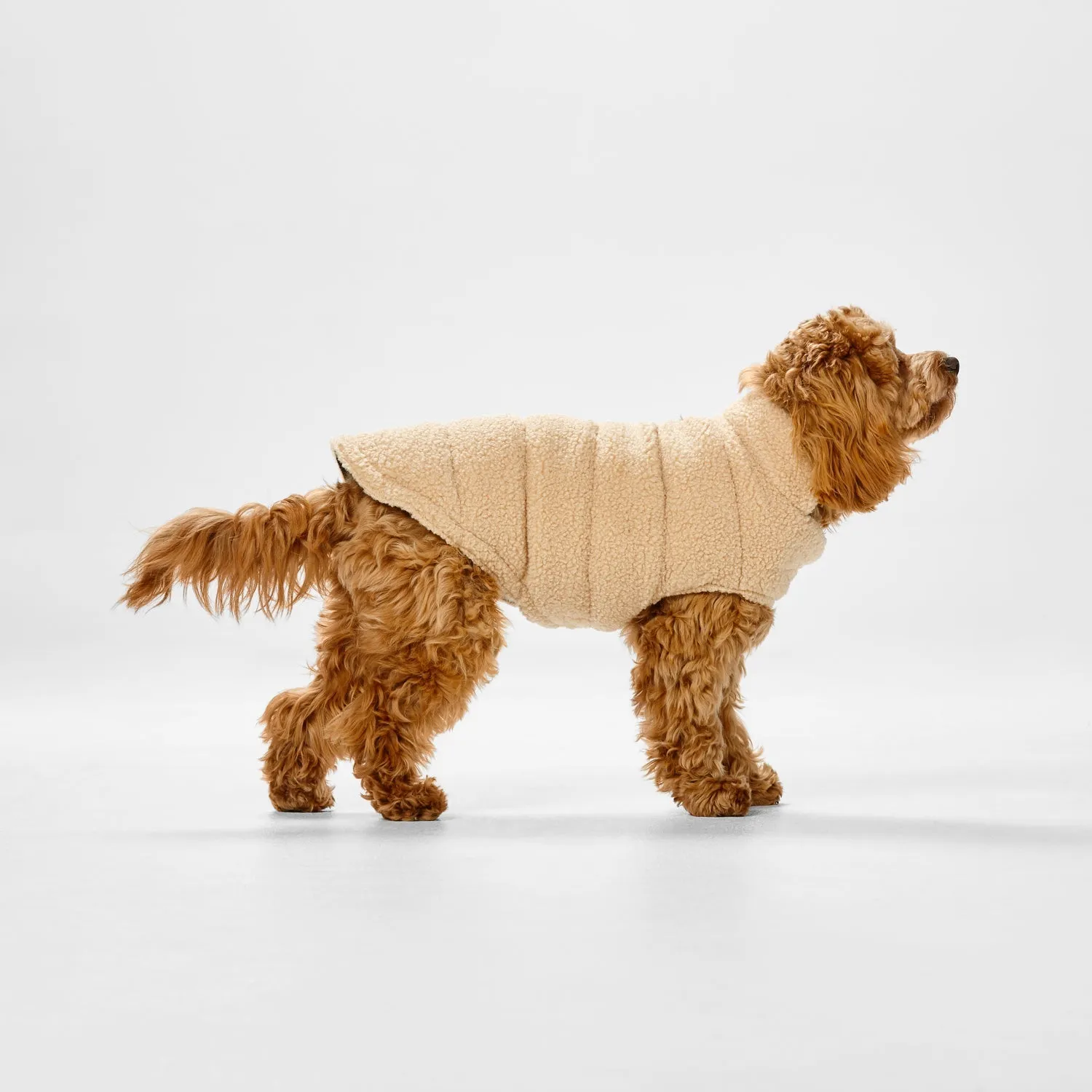 Snooza Dog Apparel Teddy Puffer Jacket Caramel Large ***