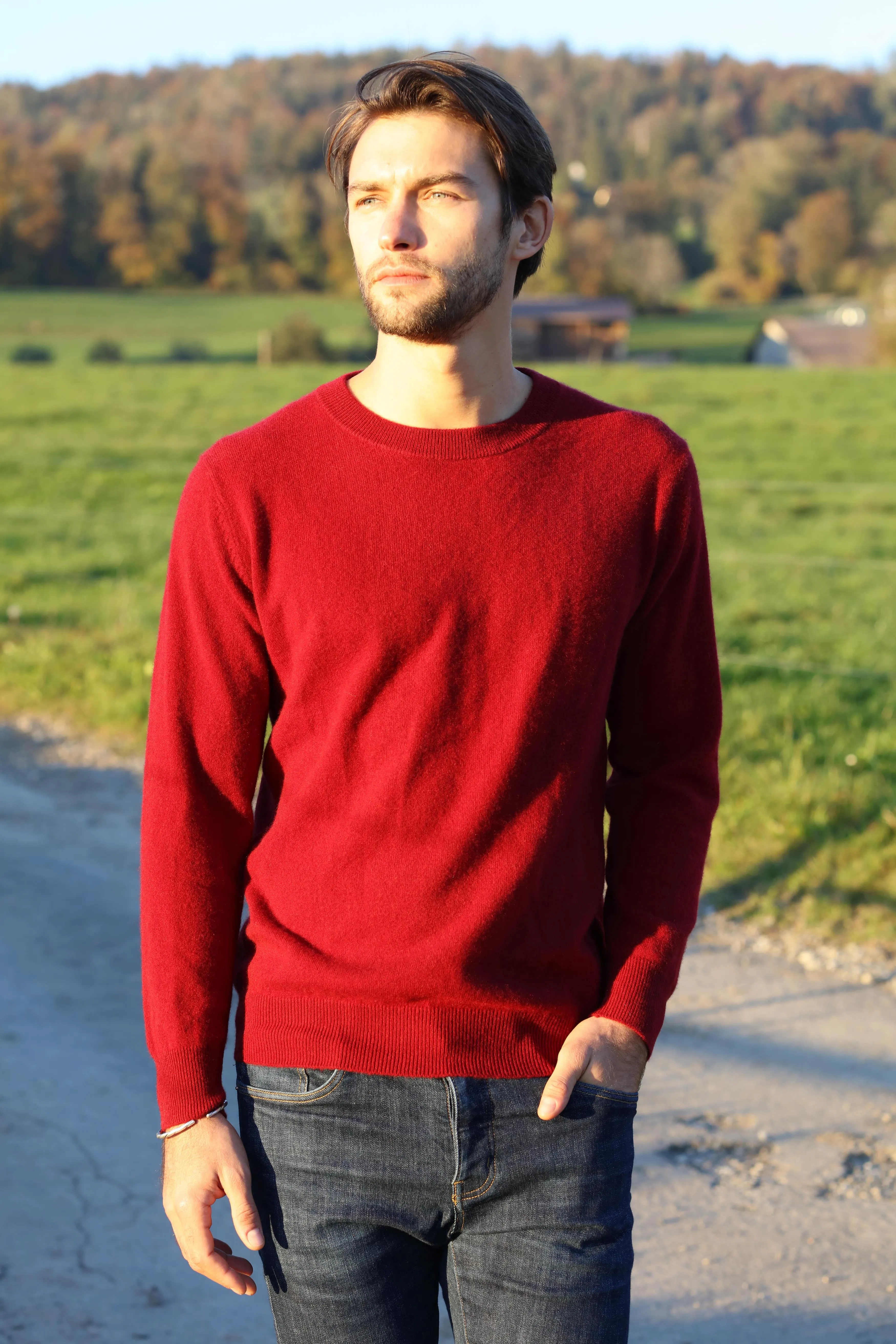 Solid Crew Neck Cashmere Sweater