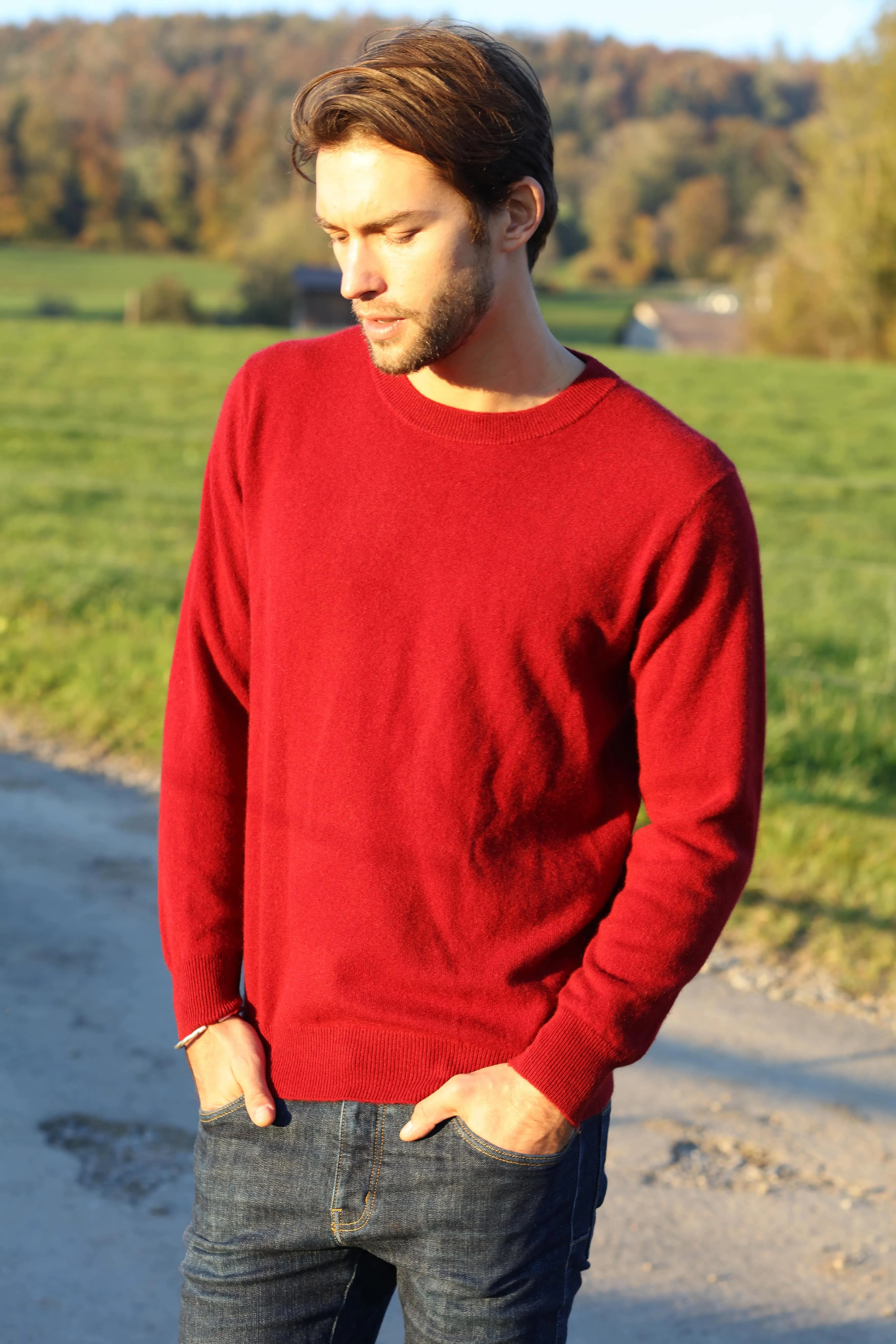 Solid Crew Neck Cashmere Sweater