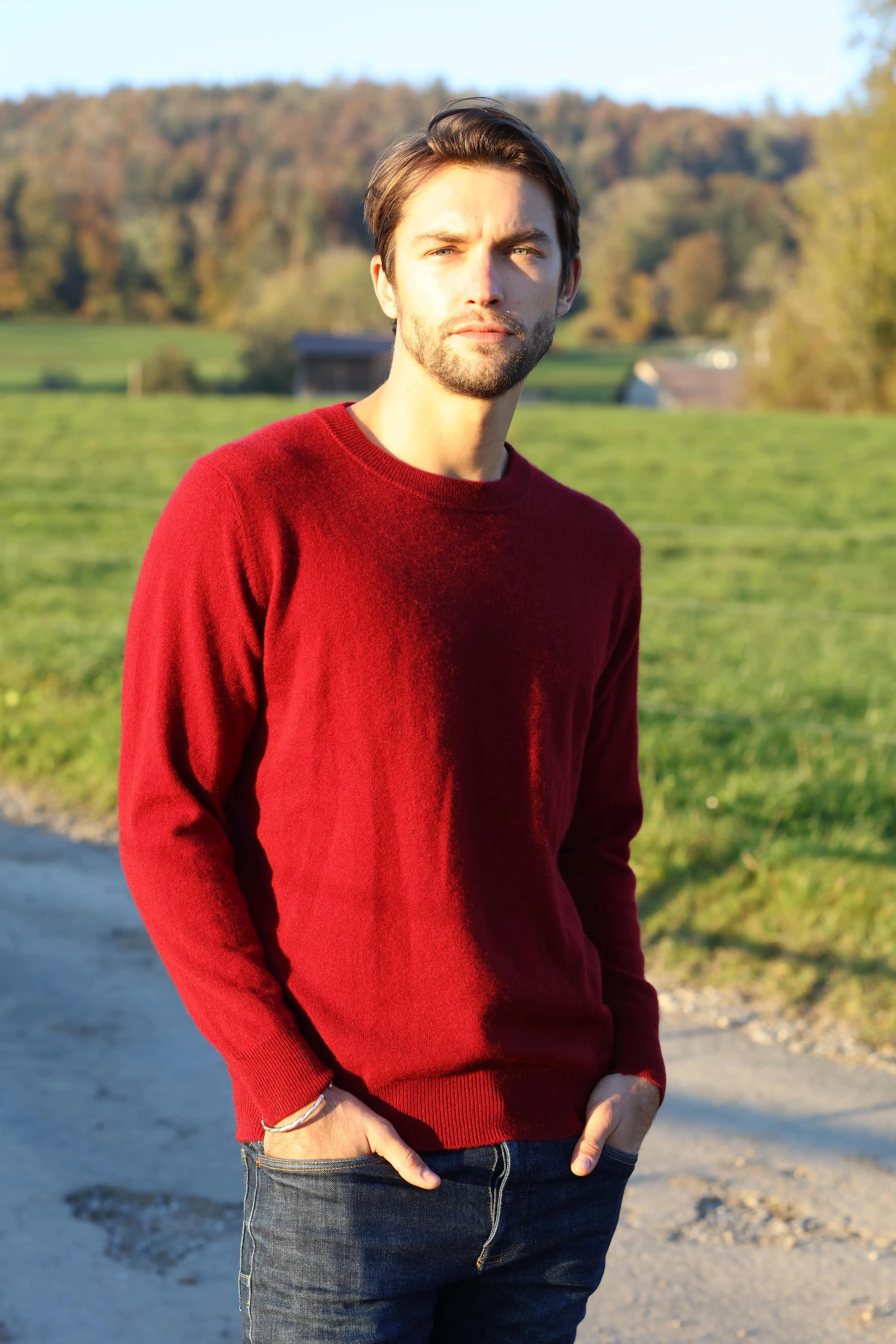 Solid Crew Neck Cashmere Sweater